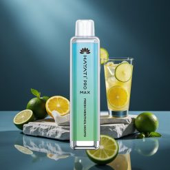 Hayati Pro Max 4000 Puffs Disposable Vape Svěží Mentol Mojito, 5% Nicotine, 1400mAh