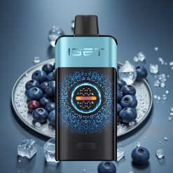 IGET ONE 12000 Puffs Disposable Vape Borůvková Mražená 2700 mAh 0.6 ohm Dual Mesh