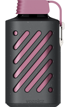 VOZOL GEAR 10 000 mučenka malina mandarinka DNJ2300 VOZOL Vape Store
