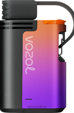 VOZOL GEAR 4000c/6000 bouře lesních plodů DNJ2324 VOZOL Vape Cena