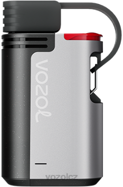VOZOL GEAR 4000c/6000 Jahodová zmrzlina DNJ2328 VOZOL Vape Flavours