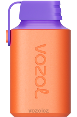 VOZOL GEAR 600 brusinkový hroznový led DNJ2348 VOZOL Vape Flavours