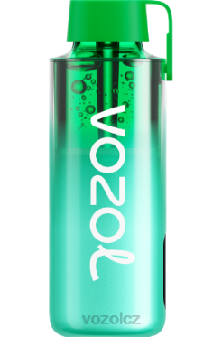 VOZOL NEON 10 000 miamská máta DNJ2229 VOZOL Vape Puffs