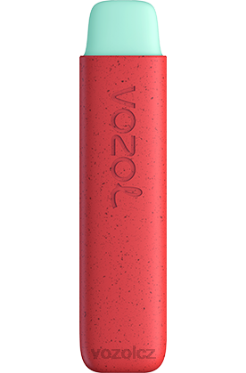 VOZOL STAR 550 jablko broskev DNJ2138 VOZOL Vape Flavours