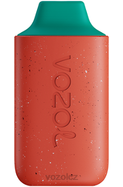 VOZOL STAR 6000 liči guava vodní meloun DNJ2117 VOZOL Vape Buy